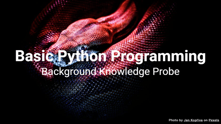 Basic Python Programming - Background Knowledge Probe