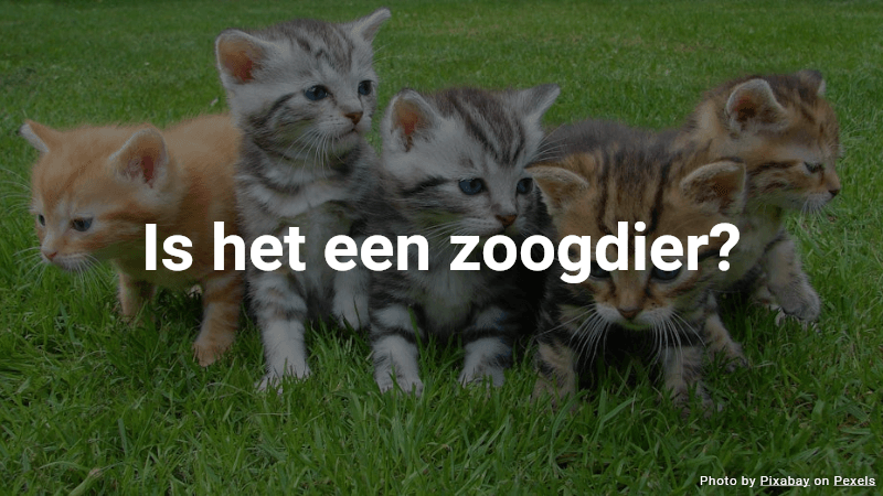 Quiz: Is het een zoogdier?