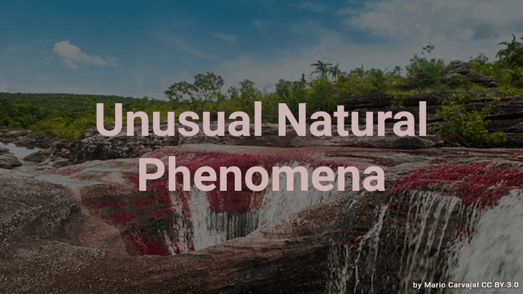 Unusual Natural Phenomena